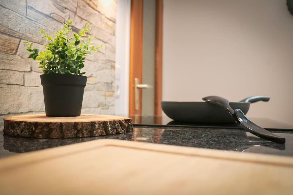 Apartement Nathalie - Wellness Mit Pool Und Sauna Schluchsee Ngoại thất bức ảnh